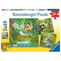 Ravensburgen puzzel 3x49 stukjes 5+ In het oerwoud